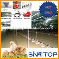 Automatic broiler equipment for automatic poultry farm